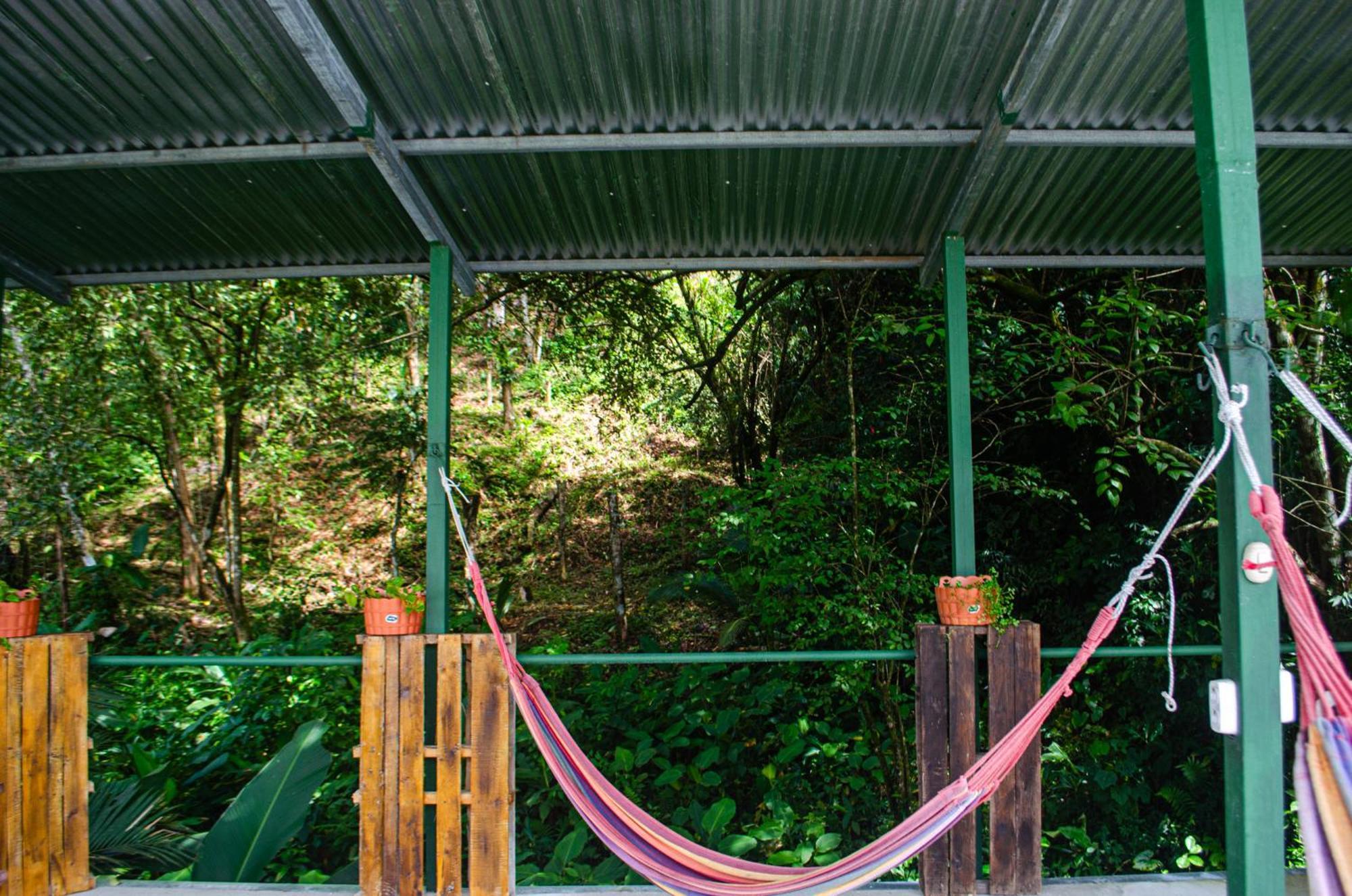 The Jungle Container Bed & Breakfast Quepos Dış mekan fotoğraf