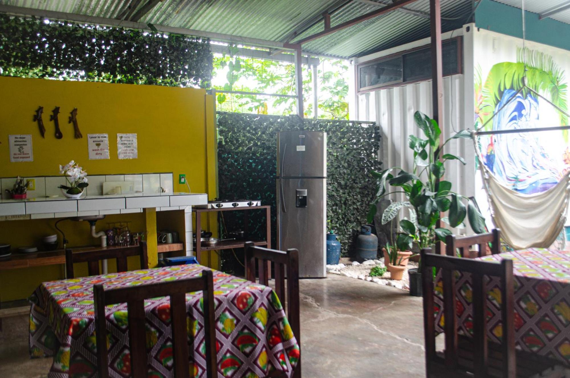 The Jungle Container Bed & Breakfast Quepos Dış mekan fotoğraf