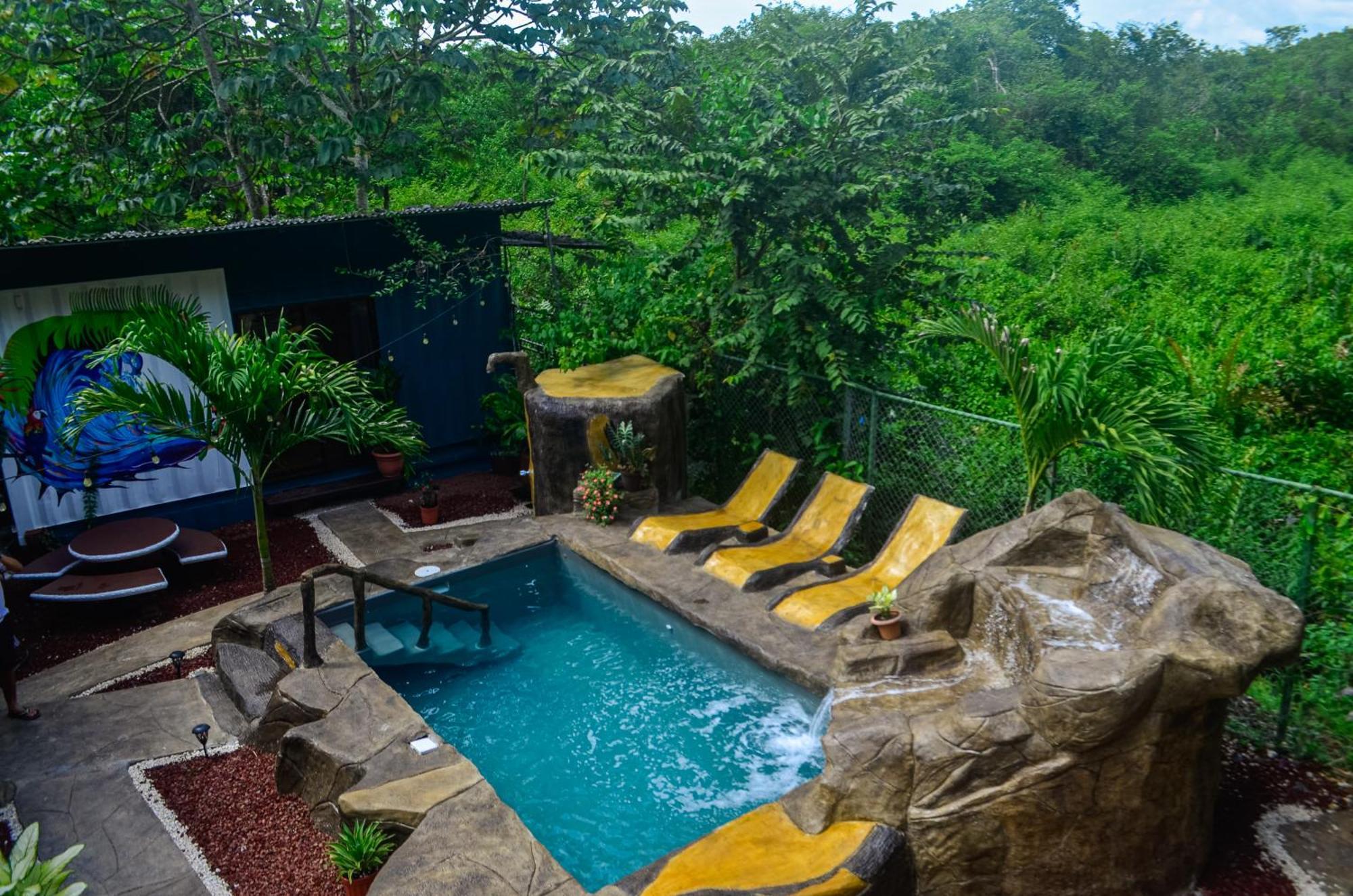 The Jungle Container Bed & Breakfast Quepos Dış mekan fotoğraf